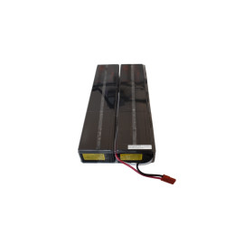 Minuteman BM0089 Replacement Battery Module for EXR3000RT2U/EXR3000RTHV