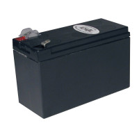 Tripp Lite RBC2A UPS Replacement Battery Cartridge for select APC UPS 5.5 lbs (2.5 kgs) UPS Replacement Batteries